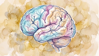 Un mapa cerebral del MIT distingue 31 tipos de neuronas y señala blancos terapéuticos para enfermedades neurológicas y psiquiátricas