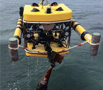 El proyecto forma parte de