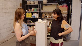 R.A.R.O. funciona a través del