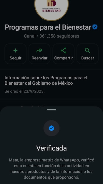 Captura de pantalla de la interfaz de WhatsApp de la cuenta verificada 'Programas para el Bienestar', con su logo, seguidores, y el texto 'Verificada' por Meta