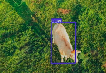 Cuidado de páramos y ganado con drones