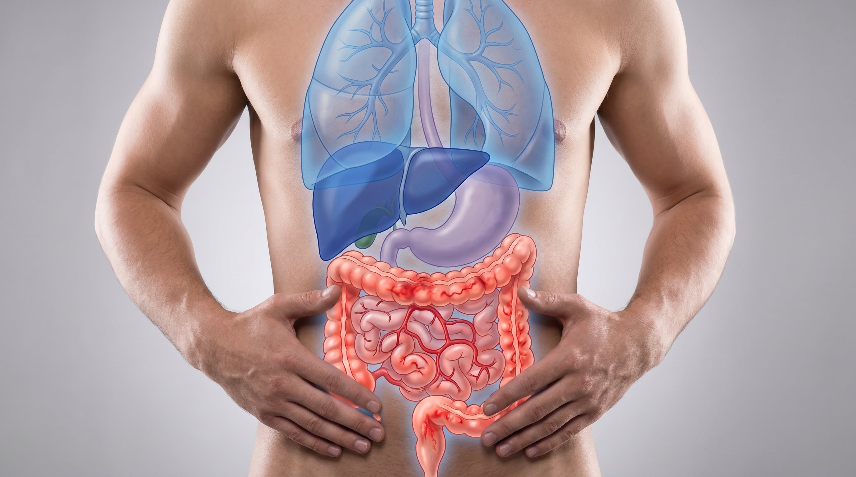 Hyman advirtió que el uso frecuente de antibióticos, bloqueadores de ácido y antiinflamatorios no esteroideos puede alterar el revestimiento intestinal, la digestión y el equilibrio microbiano (Imagen Ilustrativa Infobae)