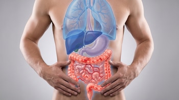 Imagen digital de un torso masculino mostrando pulmones azules, hígado y estómago violeta, y un intestino inflamado con vasos rojos.