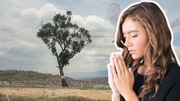 Palo del Ahorcado: recomendaciones para