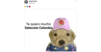 El buen desempeño de la