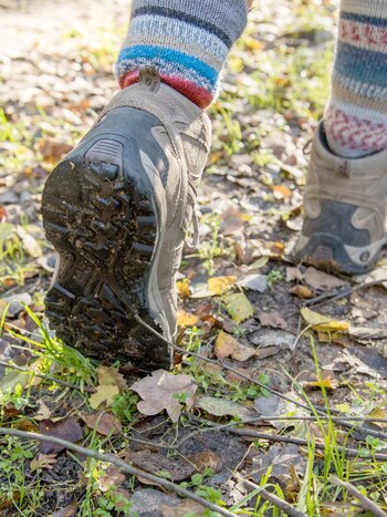 ILUSTRACIÓN - Para las caminatas