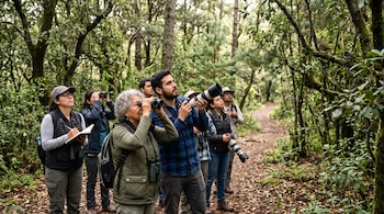 Grupo de personas con binoculares y cámaras en un sendero boscoso frente a pequeñas aves posadas en las ramas de un árbol.
