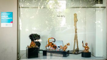 Cuatro nuevas muestras para visitar en el Museo Pettoruti de La Plata