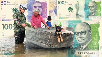 Soldado, hombre y niño en bote durante inundación rescatan un loro y dos cachorros, sobre fondo de billetes colombianos de 50 y 100 mil pesos.