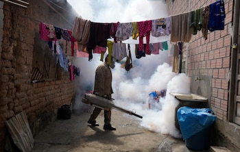 Un trabajador sanitario fumiga una