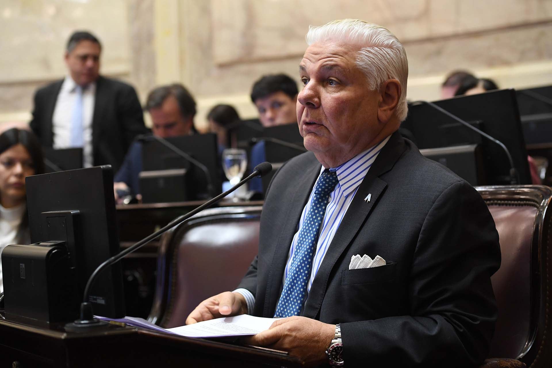 El legislador libertario y titular de la comisión de Presupuesto y Hacienda del Senado, Agustín Monteverde