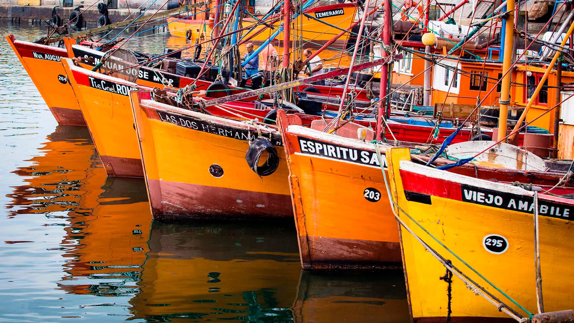 Crisis en el sector pesquero: precios bajos, altos costos y tensiones  laborales - Infobae