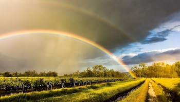 Temperatura, probabilidad de lluvia, nubosidad y rayos ultravioleta son algunos de los datos que debes de saber antes de salir de casa. (Infobae/Jovani Pérez)