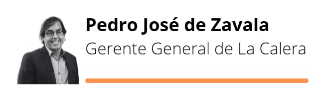 Pedro José de Zavala