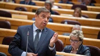 Planas entiende que haya quien "ve con preocupación" Mercosur y apuesta por asegurar "igualdad de condiciones"