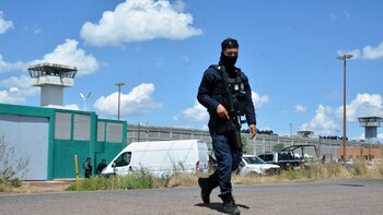 Narcotráfico en México: dieron 32