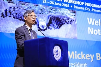 Panamá muestra avances en trasplante de células madre hematopoyéticas, afirmó Mickey Koh, presidente de la Red Mundial de Trasplante de Médula Ósea (WBMT, por sus siglas en inglés). (Cortesía)