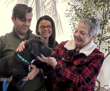 A finales de 2023 encontró