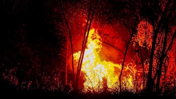 Incendios en Tolima dejan graves afectaciones para tierras, fauna y flora - crédito redes sociales