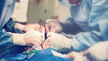 La donación de órganos en