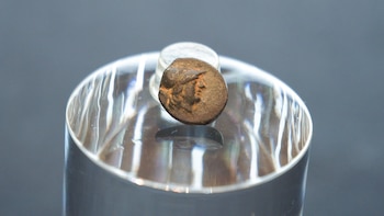 Un niño de 13 años encuentra una moneda de bronce de la antigua Grecia en Berlín: acuñada en Troya en el siglo III a. C