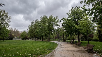 Un camino de grava en un parque con bancos de madera vacíos y árboles verdes inclinados bajo un cielo nublado.