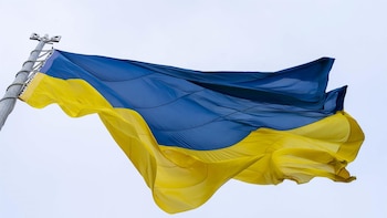 Condenada a cinco años de