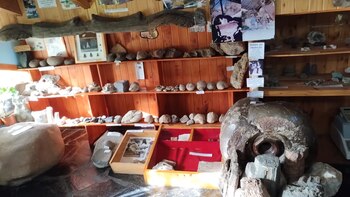 Huinganco Museo del Árbol y la Madera