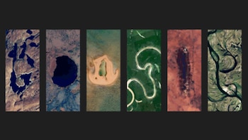 Google celebra el Día de la Tierra con un doodle especial: este es su significado