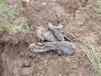 Los restos de las botas