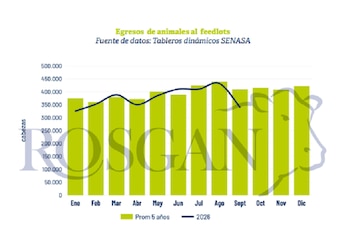 Egresos de feedlots