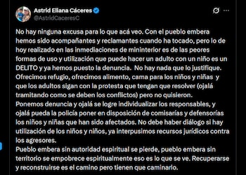 El Icbf pidió una investigación exhaustiva para identificar a los responsables del uso de menores en la protesta indígena - crédito X