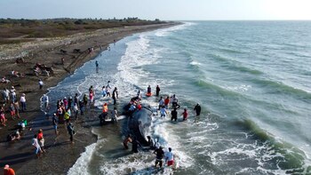 Decenas de personas ayudaron a