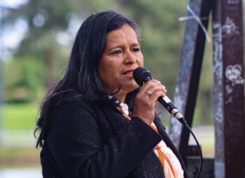 Este incidente ha despertado preocupación