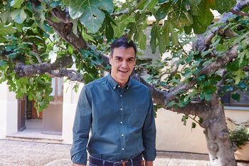 Pedro Sánchez, en una imagen