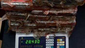 Los más de 28 kilos