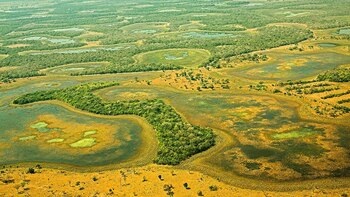 Por qué la pérdida de