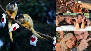 Infobae Colombia repasa los origenes