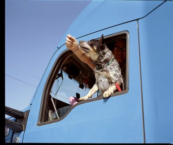 Rebecca Washington with Ziggy, of her four dogs, inside her long-haul truck in Spartanburg, S.C., April 18, 2021. Many truckers depend on the companionship of dogs, cats, birds, pigs — or even a hedgehog. (Anna Ottum/The New York Times)