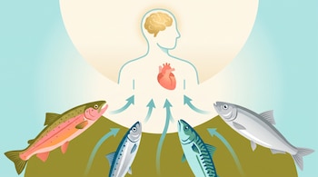 Ilustración plana de cuatro pescados (salmón, sardina, caballa, arenque) con flechas ascendentes hacia una figura humana con cerebro y corazón.