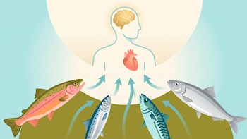 Omega-3: cuánto y cómo comer pescado graso para maximizar los beneficios