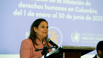 ONU DD.HH. urge al Estado