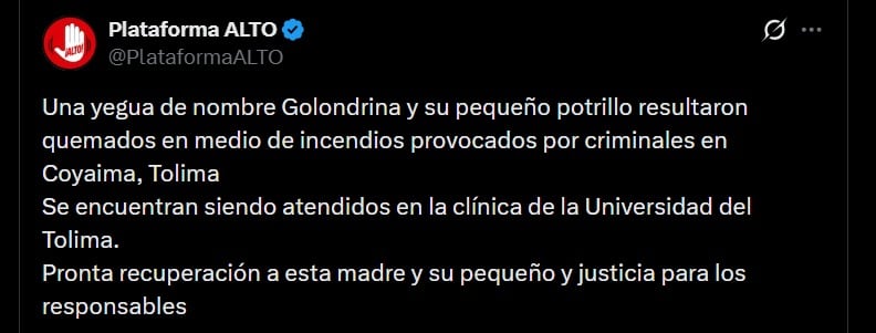 La Plataforma por los Animales Alto denunció en X que Golondrina y su potrillo quedaron heridos por el fuego que se extendió de Coyaima hacia Natagaima - crédito @PlataformaALTO / X