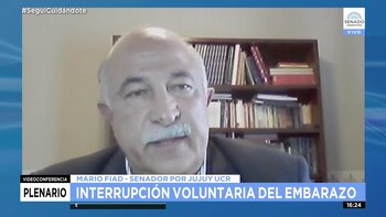 Mario Fiad, senador radical, presidente