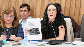 El caso del abusador que estuvo prófugo 14 años y quedó sobreseído llegó a Diputados: comenzó el debate por la Ley Segovia