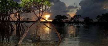 The Healing Hole, Bahamas Turismo: