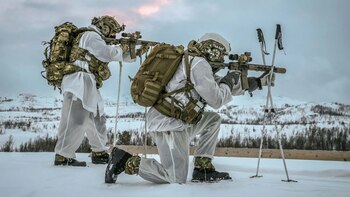 Las operaciones de la Royal