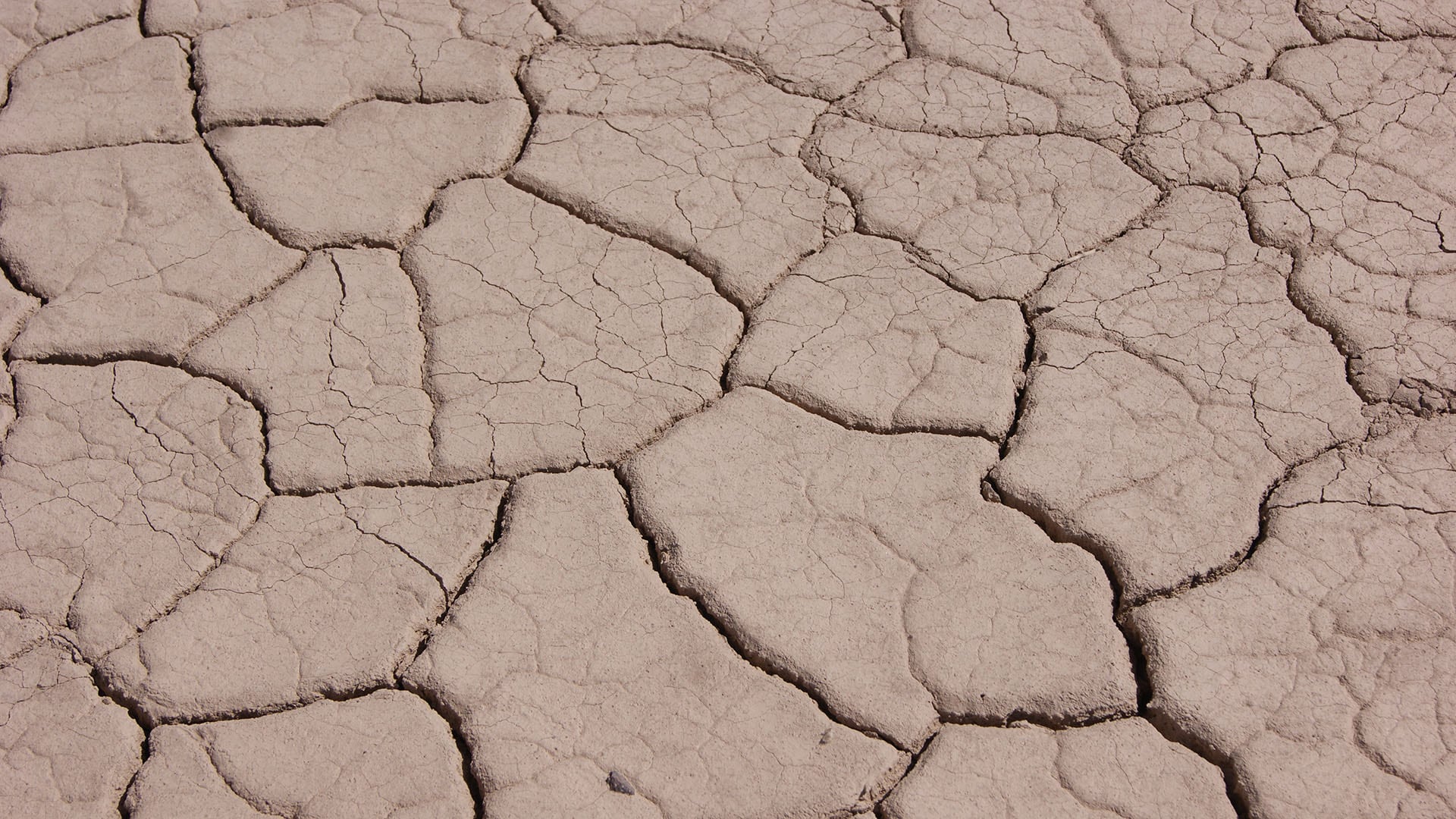 La Pampa del Leoncito se formó por la evaporación de aguas y la acumulación de sedimentos en el punto más bajo del valle de Calingasta durante miles de años./ C Carosio Wikipedia