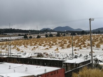 Carretera México-Cuernavaca (Foto: Especial/ Cortesía)