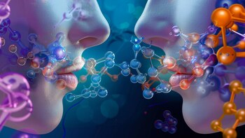 El entrenamiento con olores demostró